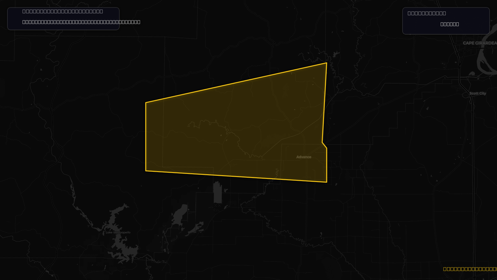 Severe Thunderstorm Warning — Bollinger, MO; Stoddard, MO; Wayne, MO
