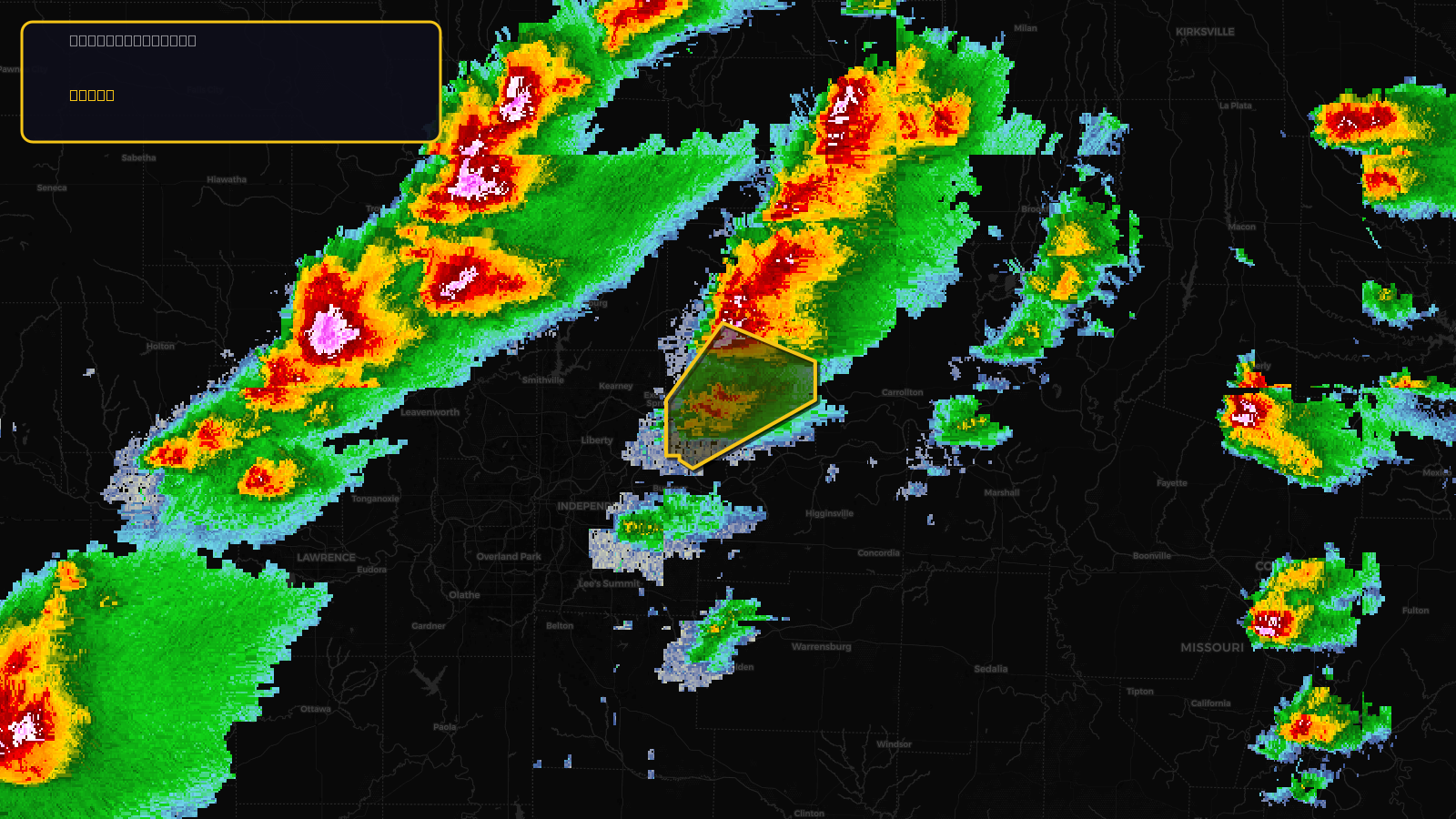 Severe Thunderstorm Warning — Ray, MO