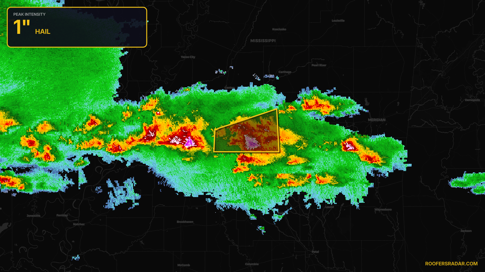 Severe Thunderstorm Warning issued April 29 at 12:49PM CDT until April 29 at 1:45PM CDT by NWS Jackson MS